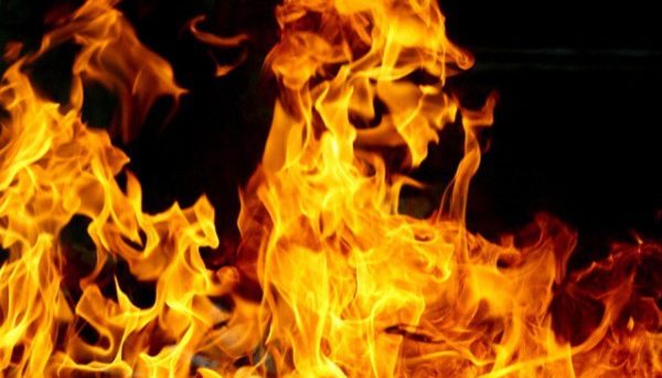 Viento, fuego y apocalipsis bacteriano