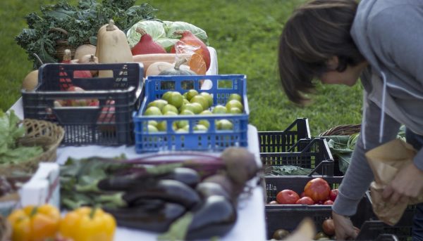 Economía social y del bien común